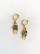 Load image into Gallery viewer, Bloom where you&#39;re planted Earrings

